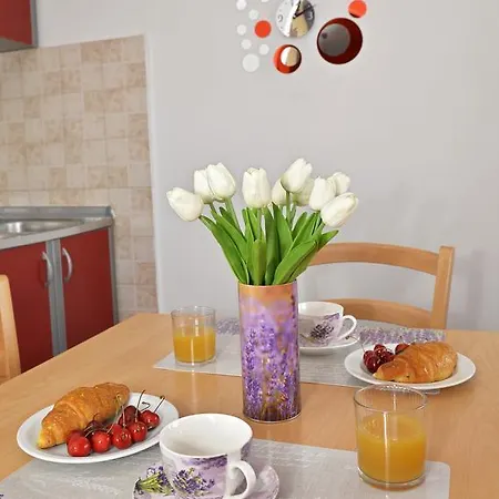 Apartament Zdravka *